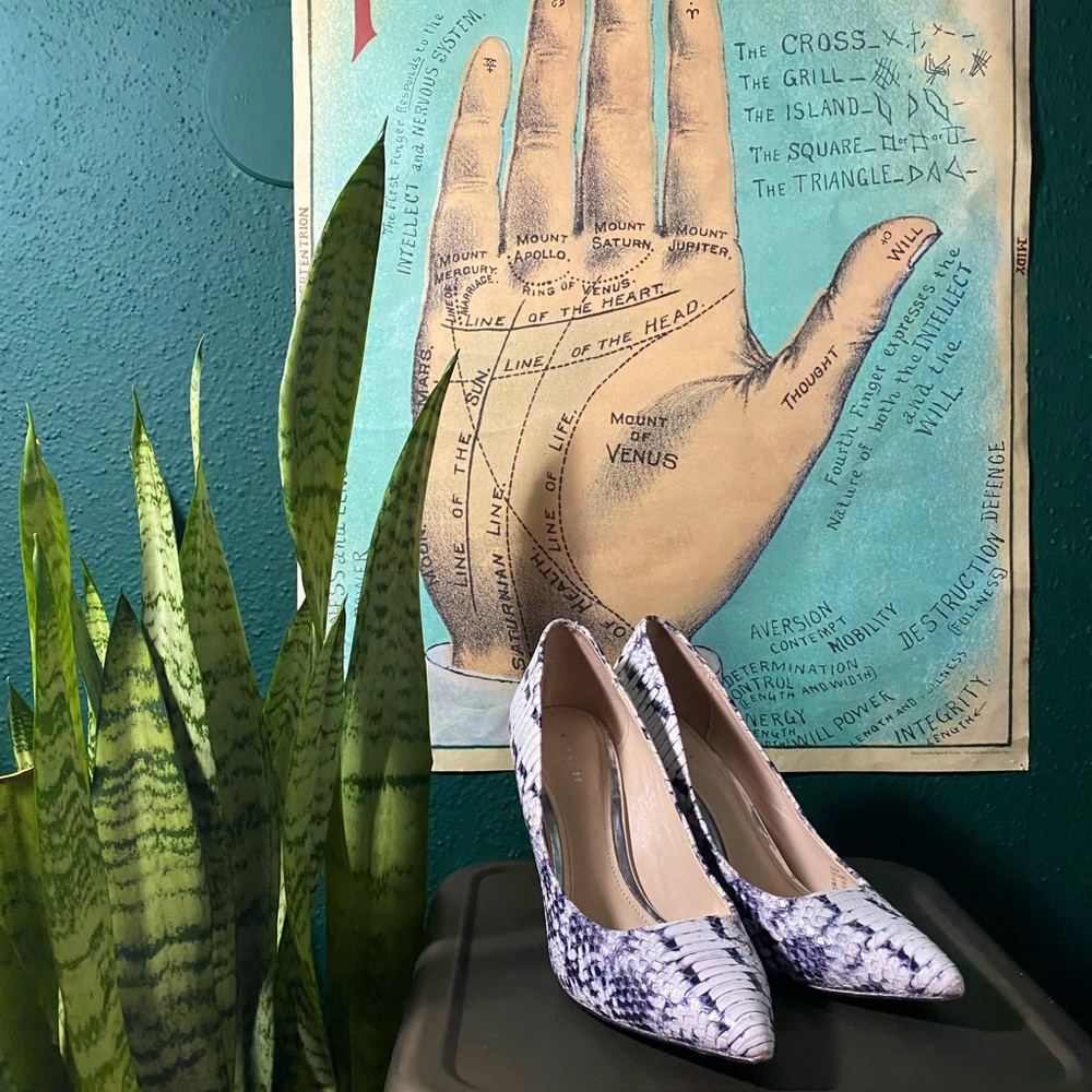 Coach Snakeskin Size 8 Wedges